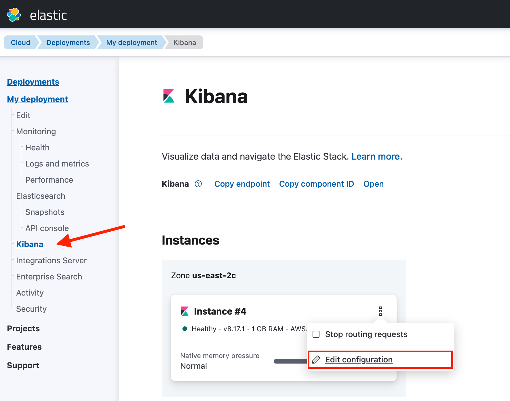 Kibana Configuration, Edit Configuration